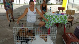thumbnail_ilheus-tera-feira-de-adocao-de-animais-dia-11-de-dezembro_foto-divulgacao